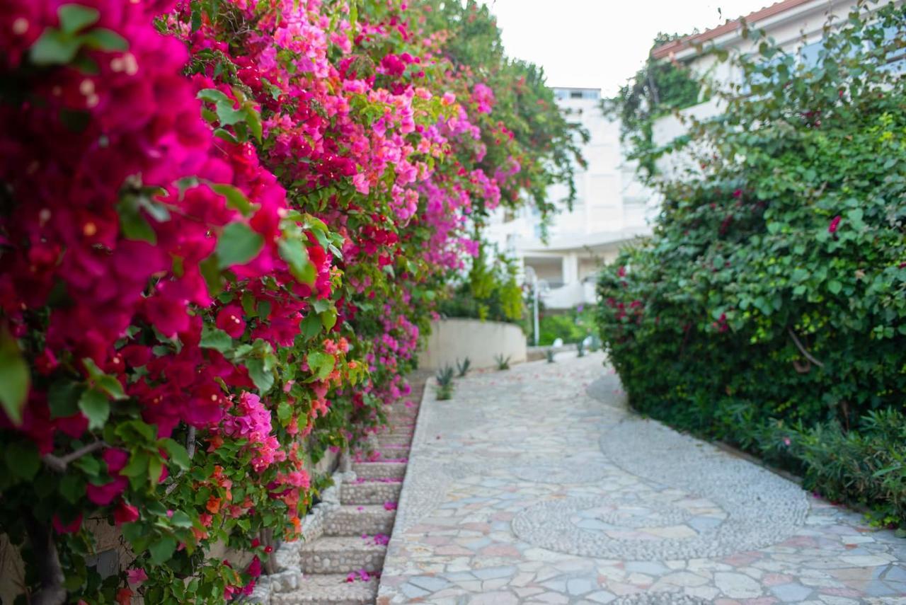 Bougainvill Sunset Sarande